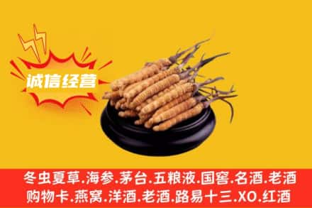 秦皇岛卢龙县回收冬虫夏草